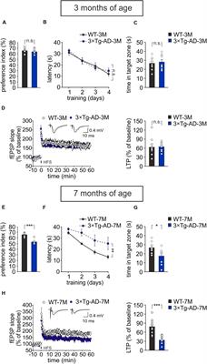 Plasma BDNF Levels Following Transcranial Direct Current Stimulation Allow Prediction of Synaptic Plasticity and Memory Deficits in 3×Tg-AD Mice